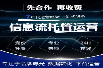SEM广告投放策略：成功案例解析